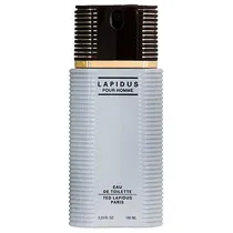Perfume Ted Lapidus Pour Homme Eau de Toilette Masculino 100ML