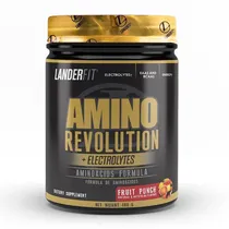 Landerfit Amino Revolution 480G - Fruit Punch