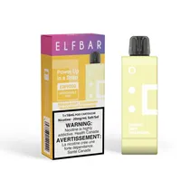 Elf Bar Ew 9K Refil Dragon Strawnana