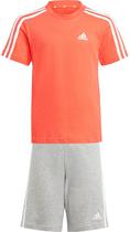 Conjunto Adidas IS2453 - Masculino