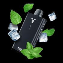 Pod Descartavel Ignite V150 15000 Puffs - Icy Mint