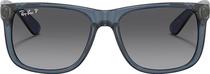 Oculos de Sol Ray Ban RB4165 6596T3 - Masculino