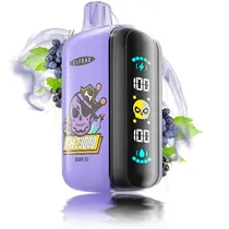 Vape Descartável Elfbar GH 23000 Puffs com 5% Nicotina - Grape Ice