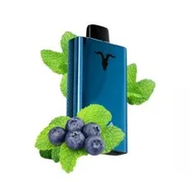 Ignite V120 Pro Blue 12000 Puffs Blueberry Mint