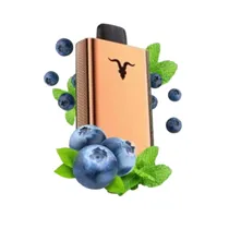 Ignite V120 Pro Rose 12000 Puffs Blueberry Mint