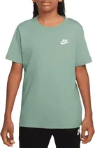 Camiseta Infantil Nike FZ5177 037 - Masculina