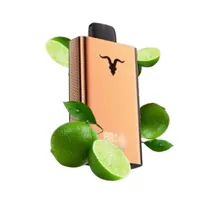 Ignite V120 Pro Rose 12000 Puffs Lemon Lime
