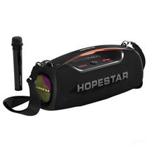 Speaker Hopestar A60 HS-1331 100W Negro