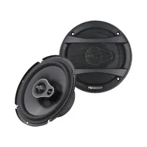 Parlante Nakamichi NSE1658 Negro