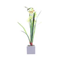 Orquidea Verde Grande Vaso Blan