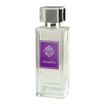 Perfume Novah Scents Attractive - Eau de Parfum - Feminino - 95ML