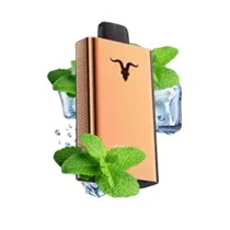 Ignite V120 Pro Rose 12000 Puffs Icy Mint