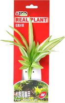 Azoo Planta Artificial Single Chlorphytm 6