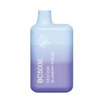 Elf Bar BC 5K Blueberry Pom Ice