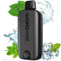 Vape Descartavel Waka Sopro 8000 Puffs com 3% Nicotina - Fresh Mint