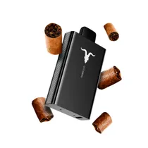 Ignite V80 8000 Puffs Tobacco