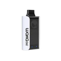 Vaper Descartável Waka 10000 Spearmint