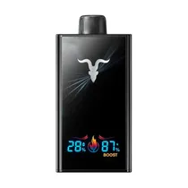 Ignite V300 Black Icy Mint
