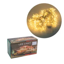 Pisca Pisca Luzes 9M 60L 220V Branco