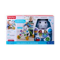 Juguete Andador Fisher Price DMP82 Cebra Aprendizaje