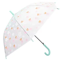 Guarda-Chuva Adulto Design Floral Rosa/Verde