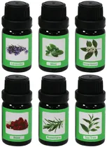 Kit Óleos Aromáticos Satellite Essential Water A-H6799 para Umidificador (6 Unidades)