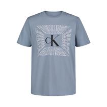 Camiseta Infantil Calvin Klein CKSGB34F 403