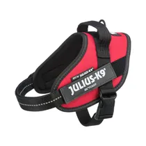 Arnés para Perro Trixie 14823 Julius K9 XS 40-53CM Rojo