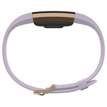 Pulseira Fitbit Smart Charge 2 FB407RGLVL Grande