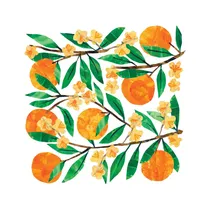 Servilletas de Papel PPD Tracey´s Orangina 133002562 33 X 33 CM 20 Unidades