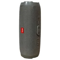 Caixa de Som Intl CHARCE3+ Gray