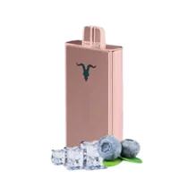 Ignite V80 Rose Blueberry Ice