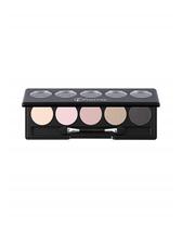 Color Palette Eye Shadow 008