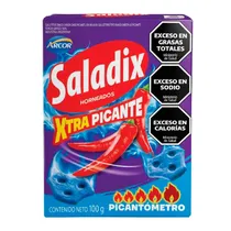 Biscoito Assado Arcor Saladix Xtrapicante Caixa 100G