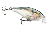 Rapala Señuelo Isca Shallow Shad Rap SSR-09-SF 9CM 12G Media Agua