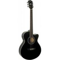 Washburn EA12 Black