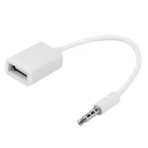 Cabo Auxiliar para USB Femea 1MT Branco