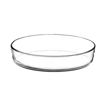Bandeja de Vidrio Pasabahce Borcam Roasters 59084 1.55L