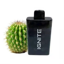 Ignite V120 12000 Puffs Cactus