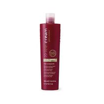 Inebrya Color Perfect Shampoo 300ML