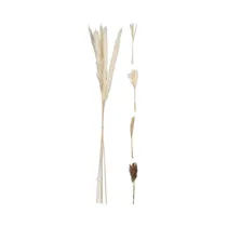 Rama Decorativa de Pampa KPM 035062 75 CM Surtido