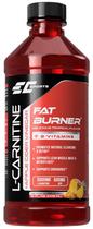 Ec Sports L-Carnitine Fat Burner 3000MG - 473ML