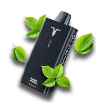 Vaper Descartavel Ignite V150 Menthol 15000 Puffs