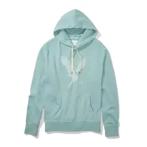 Moletom American Eagle Masculino / Capuz com Cordão / Grande (L) - Azul Celeste