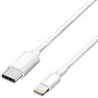 Cabo iPhone USB/Lightning Original