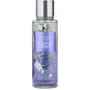 Body Mist Victoria's Secret Platinum Berries - 250ML