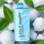 Pod Descartavel Lost Mary MT 15000 Puffs - Winter Mint
