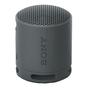 Sony Speaker SRS-XB100 Portatil Black