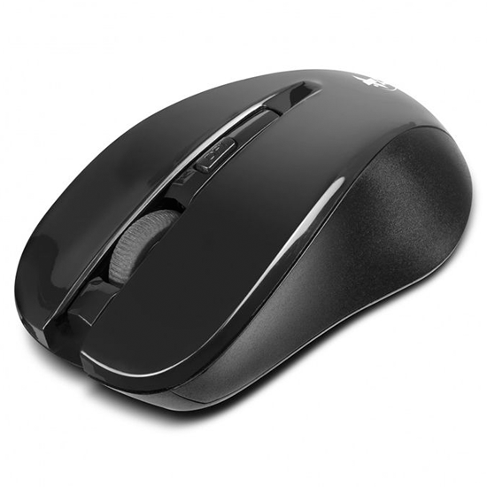 Mouse X-Tech XTM-300 Óptico Wireless