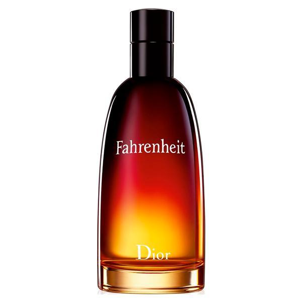 Perfume Christian Dior Fahrenheit Eau de Toilette Masculino 50ML